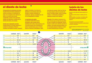 La mejor caja para dientes de leche 2022