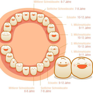 Precio cajas dientes de leche